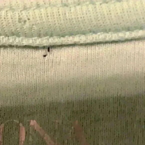 Merona Ultimate T-Shirt Women's Medium Short Sleeves Top - Picture 6 of 6